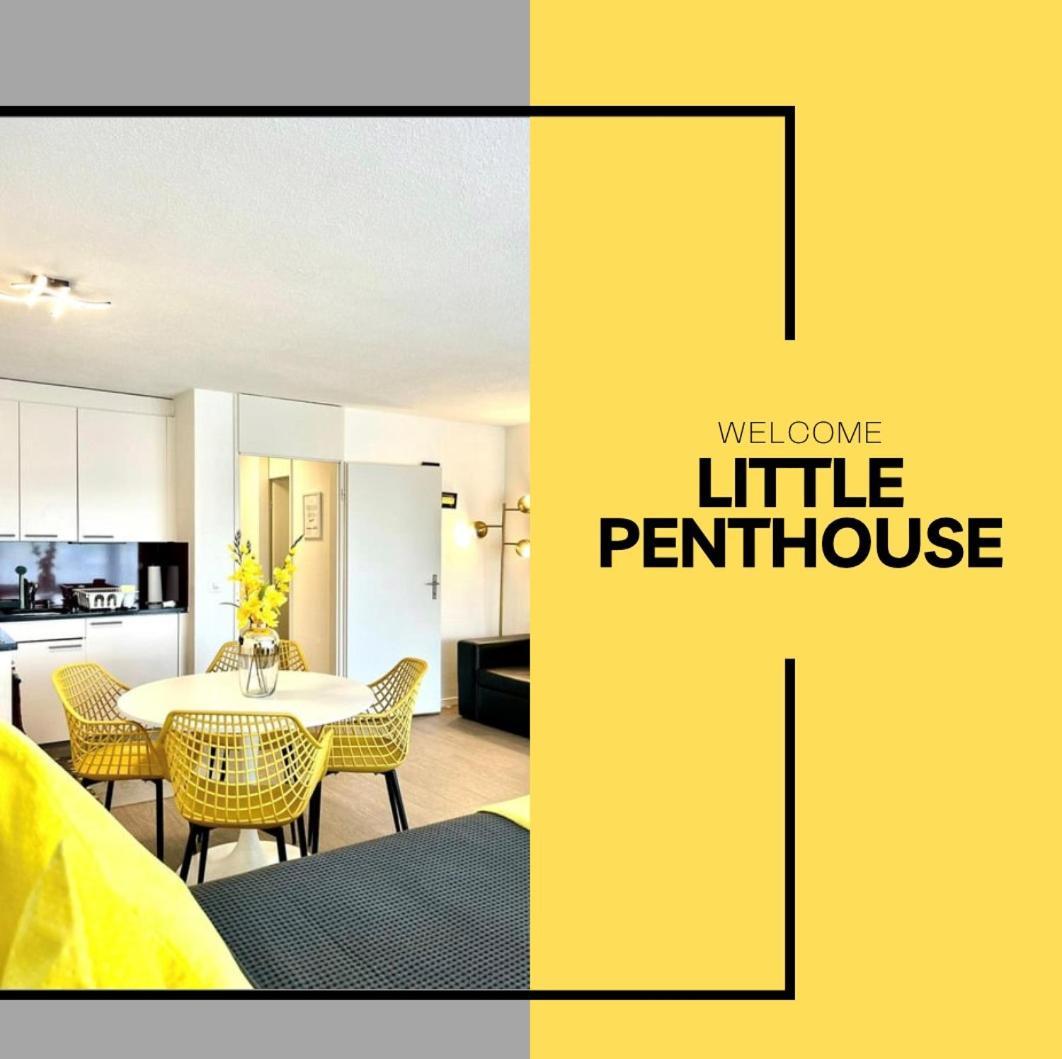Little Penthouse **** Dietikon Exterior foto