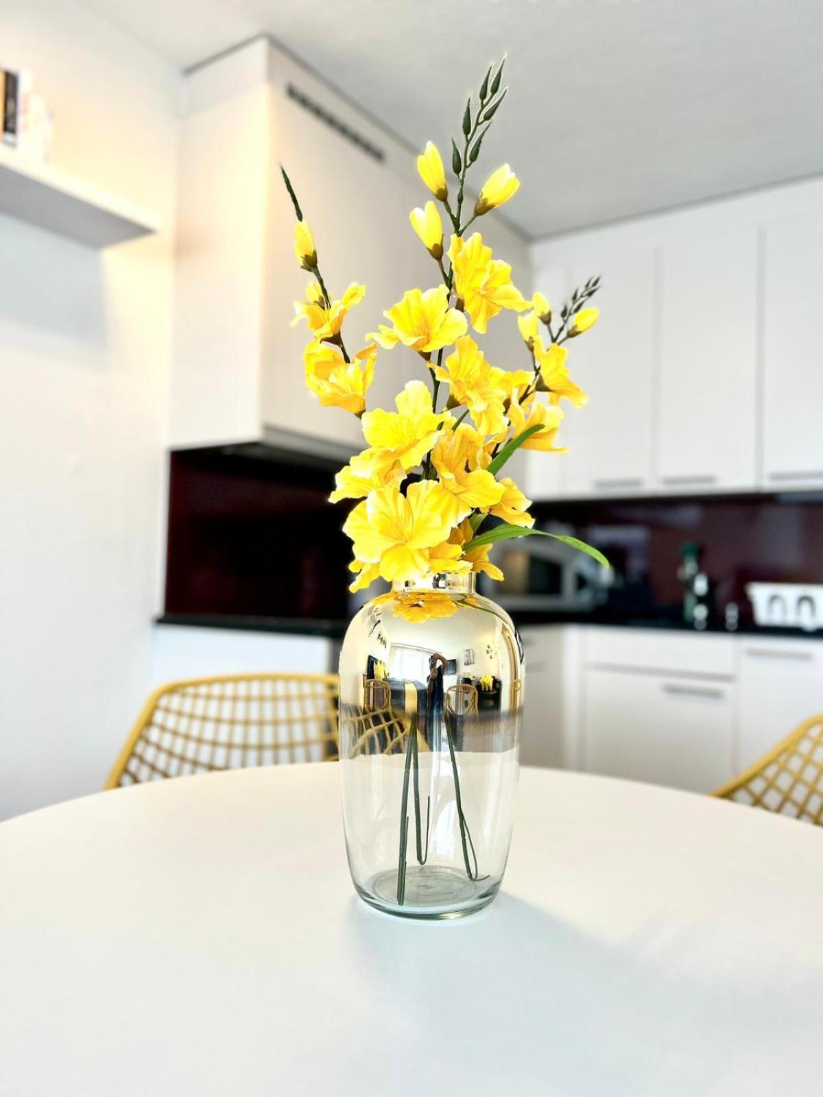 Little Penthouse **** Dietikon Exterior foto