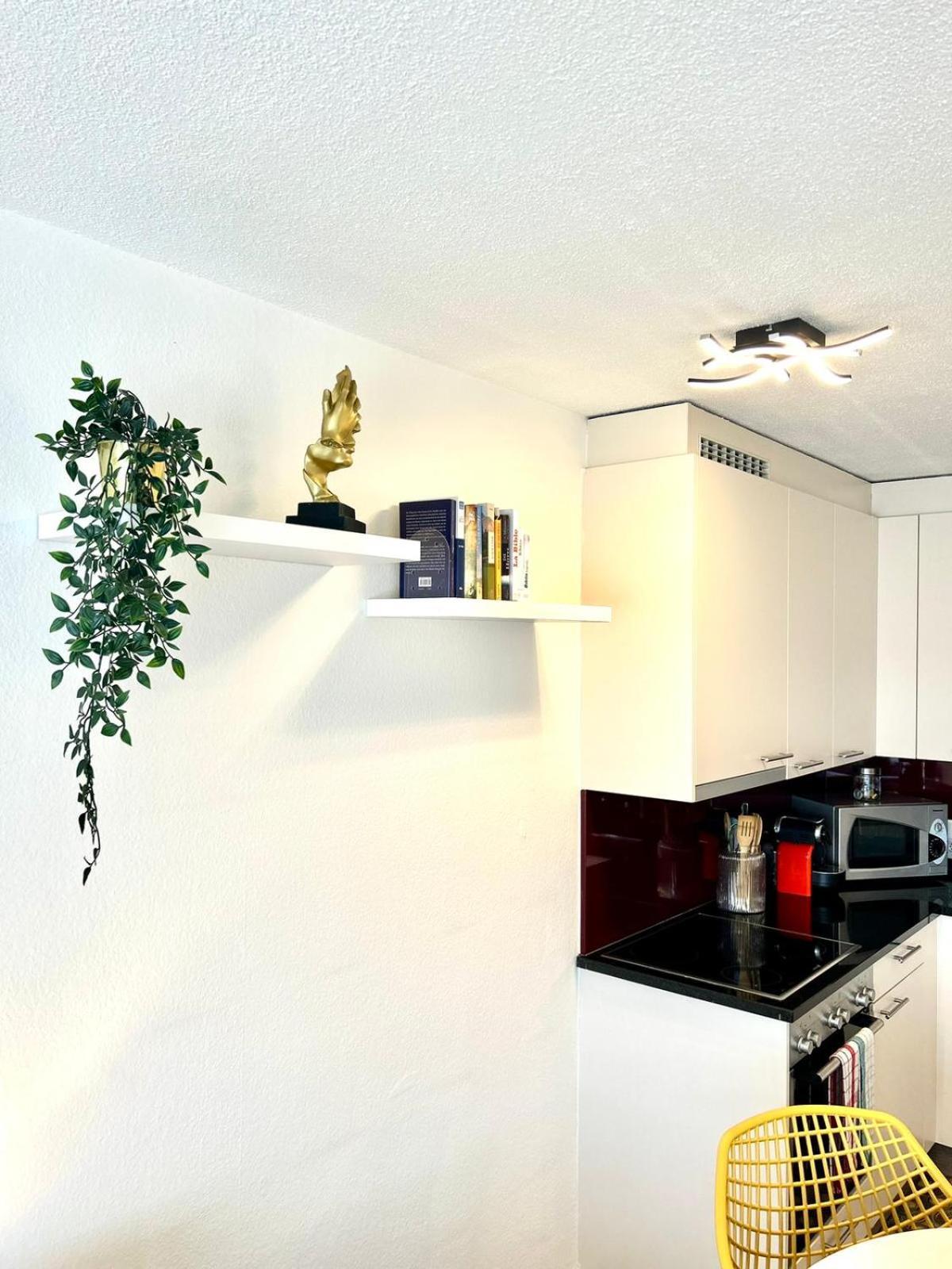 Little Penthouse **** Dietikon Exterior foto