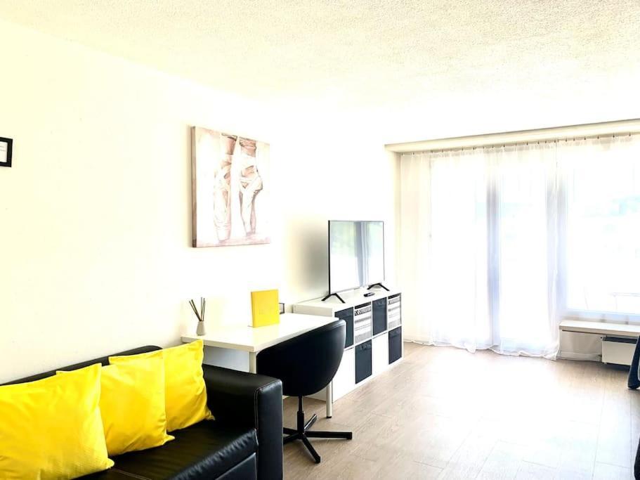 Little Penthouse **** Dietikon Exterior foto